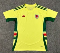 24-25 Wales Away Green Thailand Soccer Jersey AAA-512