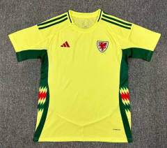 24-25 Wales Away Green Thailand Soccer Jersey AAA-512