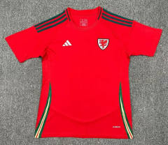 24-25 Wales Home Red Thailand Soccer Jersey AAA