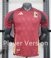 Player Version 2024-2025 Belgium Away Red Thailand Soccer Jersey AAA-888