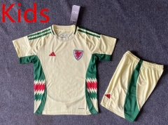 2024-2025 Wales Away Yellow Kids/Youth Soccer Uniform-6748