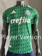 (S-3XL) Player Version 2024-2025 Special Version SE Palmeiras Green Thailand Soccer Jersey AAA-518