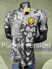 （s-3xl）Player Version 2024-2025 Jordan Off-White Netherlands Thailand Soccer Jersey AAA-518