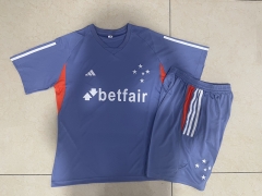 2024-25 Cruzeiro EC Grey  Thailand Tracksuit Short Uniform-815