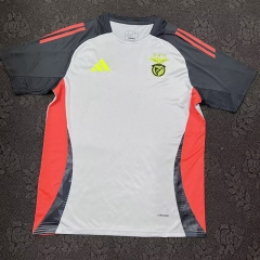 2024-2025 Benfica Grey  Training Soccer Jersey AAA-HR