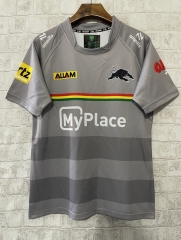 2024-25 Jagua(r) Grey Thailand Rugby Shirt