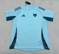 （s-4xl）2025-26 Cruzeiro EC Light Blue  Thailand Training Soccer Jersey AAA-2336