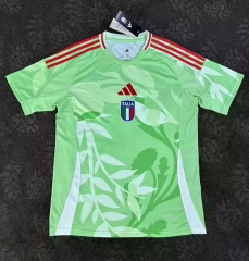 25-26 Italy Away Green Thailand Soccer Jersey AAA-2483