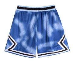 （xs-4xl） AJ Blue Shorts-4370