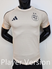 Player Version 2025-26 Algeria Khaki Thailand Soccer Jersey AAA-9926