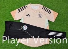 Player version 25-26 Algeria Khaki Thailand Soccer Tracksuit-9926