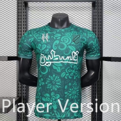 Player Version 2025-2026 Palestine  Green Thailand Soccer Jersey AAA-888