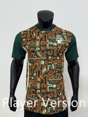 Player Version 2025-2026 Ivory Coast Yellow Green Thailand Soccer Jersey AAA-4506