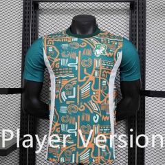 Player Version 2025-26 Ivory Coast Green Thailand Soccer Jersey AAA-888