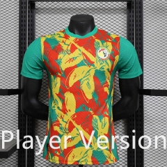 Player Version 2024-2025 Senegal Red&Yellow&Green Thailand Soccer Jersey AAA-888