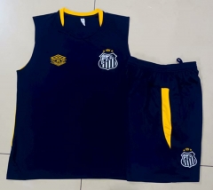2025-2026 Santos FC Up Cyan-Blue Thailand Soccer Vest Tracksuit-815