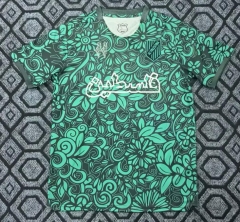 2025-2026 Special Edition Palestine Green Thailand Soccer Jersey AAA-2483