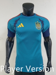 Player Version 2026 Spain Blue Thailand Soccer Training Jersey-0871