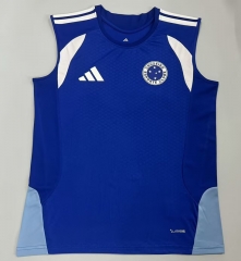(S-4XL) 26-27 Cruzeiro EC Light Blue Thailand Training Soccer Vest AAA-5668