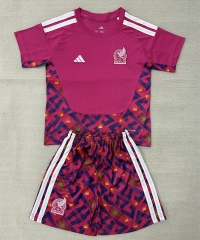 2026-27 Mexico Goalkeeper Pink Thailand Soccer Uniform-AY