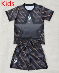 2026-2027 France Goalkeeper Black Kids/Youth Soccer Uniform-AY