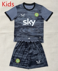 2026-2027 Ireland Goalkeeper Gray Kids/Youth Soccer Uniform-AY