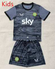 2026-2027 Ireland Goalkeeper Gray Kids/Youth Soccer Uniform-AY