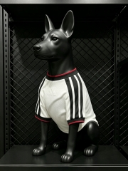2026-2027 Germany Home White Pet Soccer Jersey AAA-3596