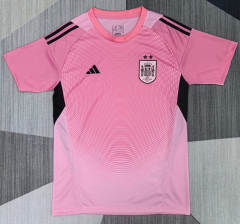 26-27 Spain Goalkeeper Pink Thailand Soccer Jersey AAA-0009