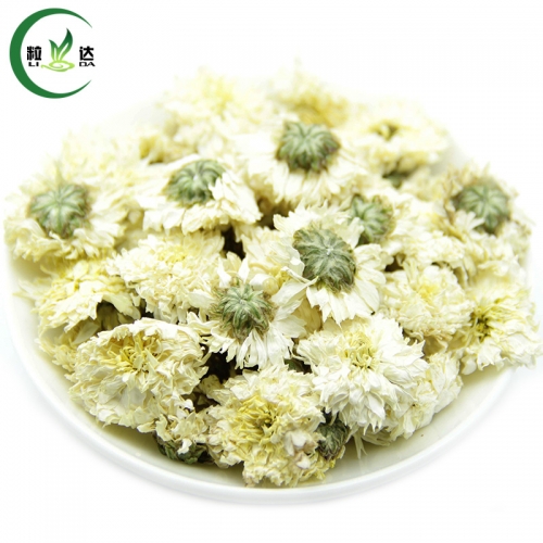 Better Quality Dried Flower Herbal Tea White Chrysanthemum Flower Tea