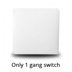 One gang Switch