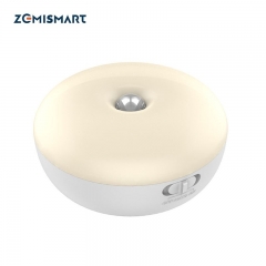 Zemismart Tuya Night Light Infrared Remote Control Body Smart Home Motion Lamp 110V 220V with US plug