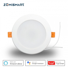 wifi downlights google home
