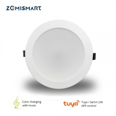 wifi downlights google home