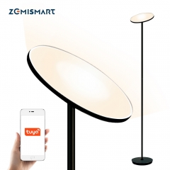Tuya WiFi Smart Floor Light Standard Lamp Smart Life Alexa Google home Control