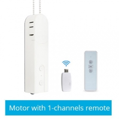 Motor with 1 channel remote