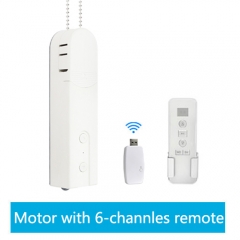 Motor with 6 channel remote