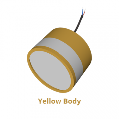 yellow body