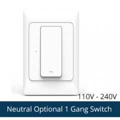 US Neutral Optional 1 Gang Switch