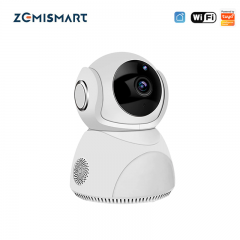 Zemismart Tuya WiFi CCTV Camera 1080P Intercome Standard ONVIF Smart Home Security Alarm Dual-Way Audio Video Surveillance