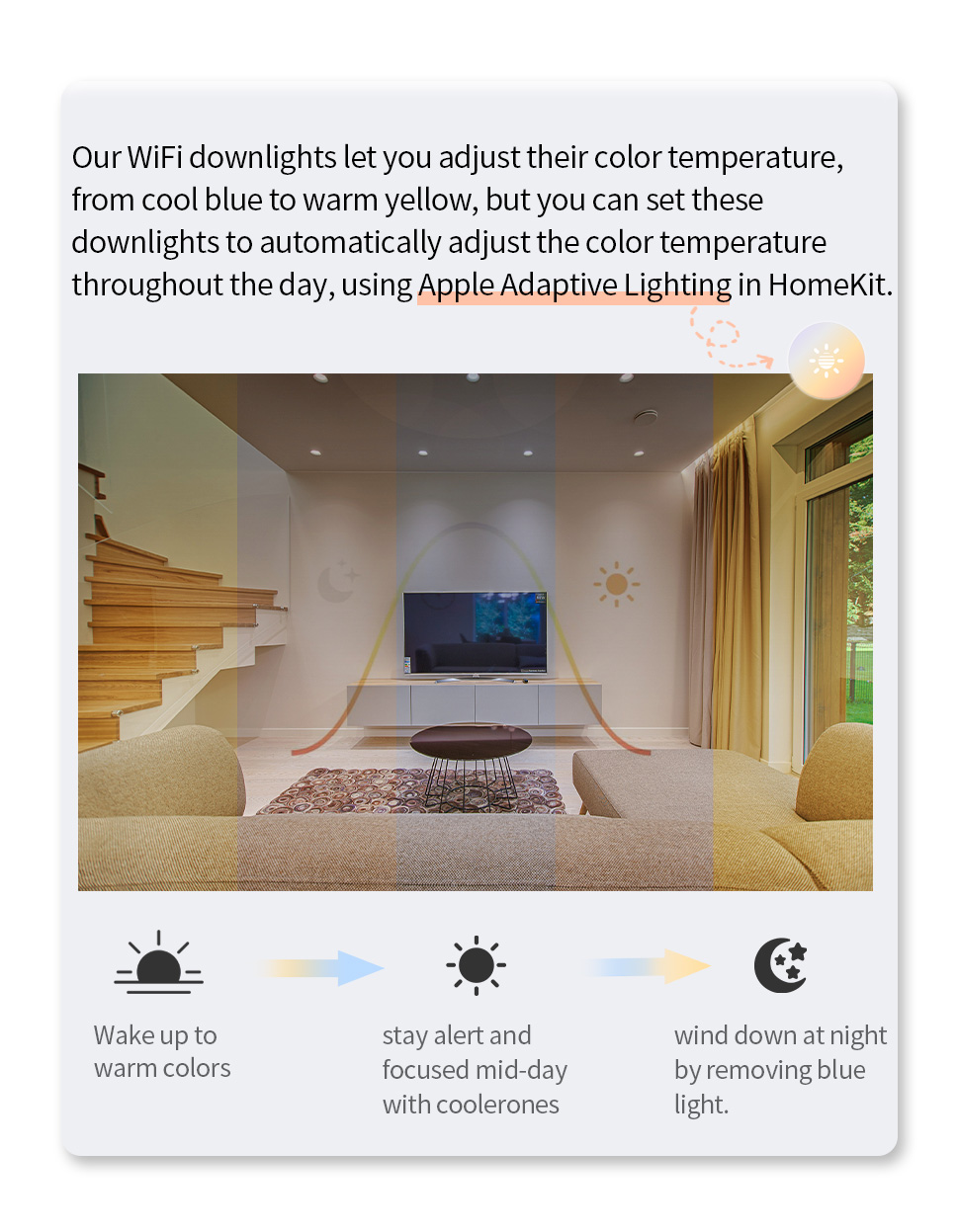 Kit Smart: Alexa + Foco + Enchufe - Dmk Home