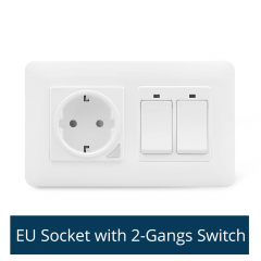 EU Socket with 2 gang Switch