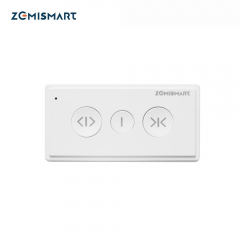 1 channel remote