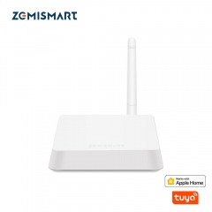 Zemismart Zigbee Hub work with HomeKit， ZMHK-01 Smart Home Bridge，Zigbee Smart Home control curtain, light, switch, sensor