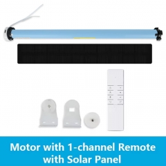 Motor R1 Solar Panel