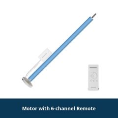 Motor with 6 channel remote