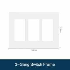 3 gang switch frame