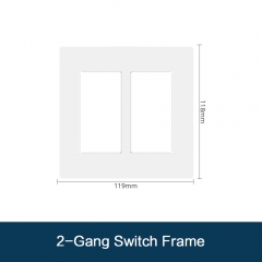 2 gang switch frame