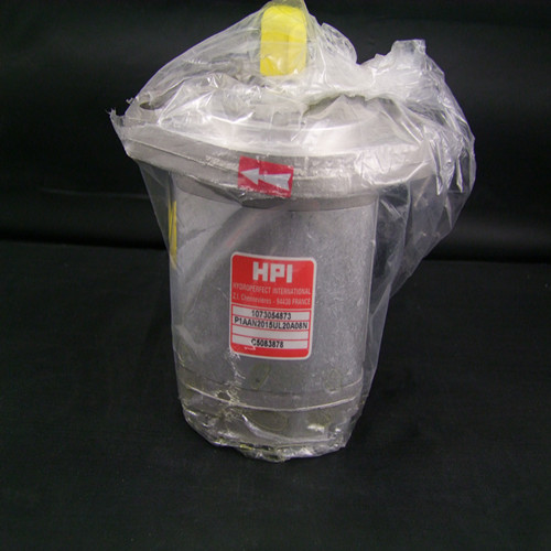 HPI GEAR PUMP P1AAN2015UL20A08N C5083878