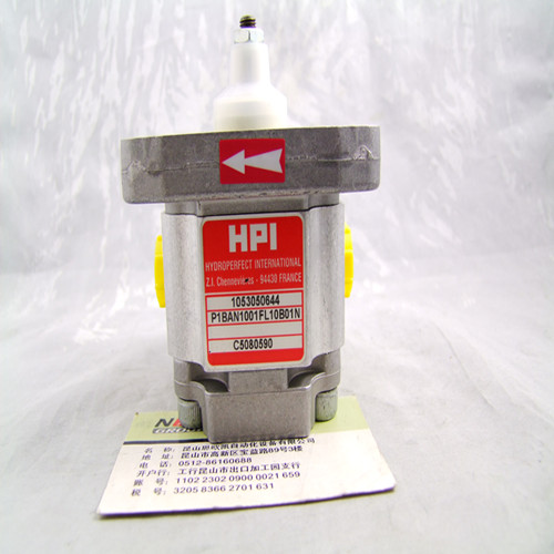 HPI PUMP P1BAN1001FL10B01N